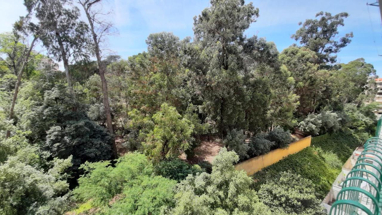 Forest View Lisbona Esterno foto